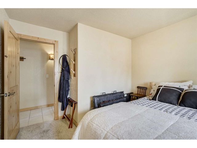 141 Cabin Ln, Guffey, CO 80820