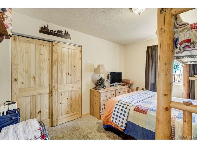 141 Cabin Ln, Guffey, CO 80820