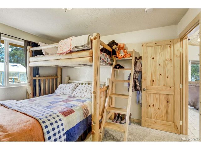 141 Cabin Ln, Guffey, CO 80820