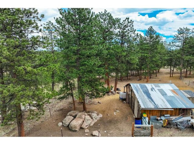 141 Cabin Ln, Guffey, CO 80820