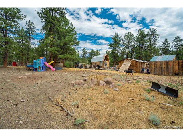 141 Cabin Ln, Guffey, CO 80820