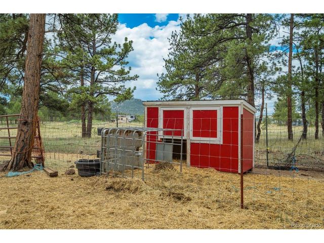 141 Cabin Ln, Guffey, CO 80820