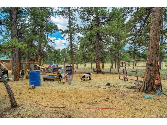141 Cabin Ln, Guffey, CO 80820