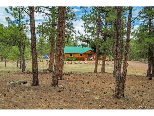141 Cabin Ln, Guffey, CO 80820