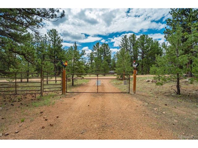141 Cabin Ln, Guffey, CO 80820