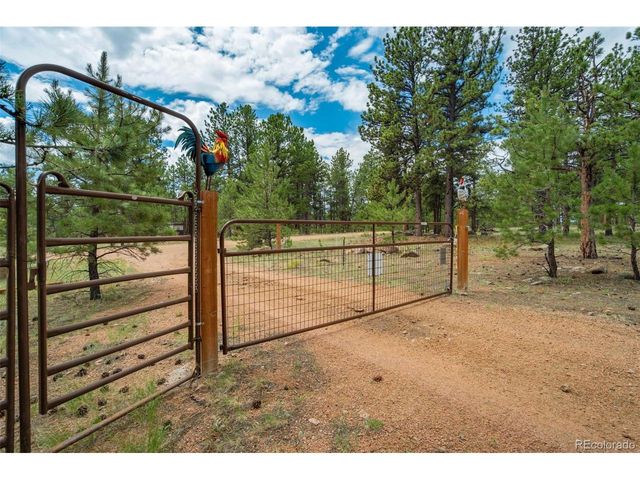 141 Cabin Ln, Guffey, CO 80820