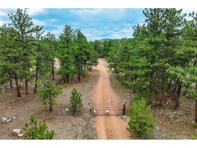 141 Cabin Ln, Guffey, CO 80820