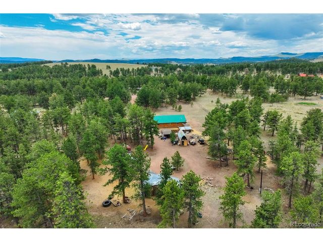 141 Cabin Ln, Guffey, CO 80820