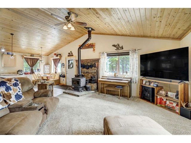 141 Cabin Ln, Guffey, CO 80820