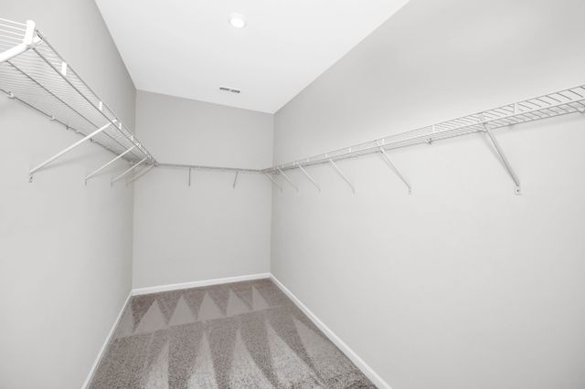 119 Townsend Way, Chapel Hill, TN 37034