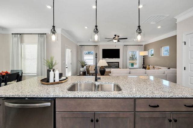 119 Townsend Way, Chapel Hill, TN 37034