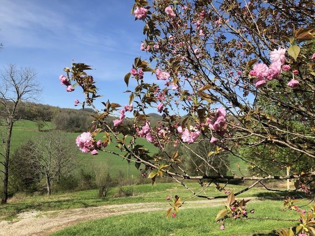 3955 Kennedy Creek Rd, Auburntown, TN 37016