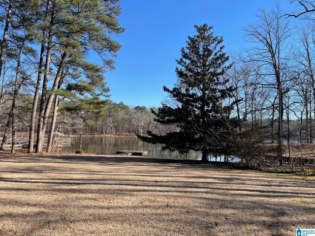 1111 LAKE PARK DRIVE, Mccalla, AL 35111