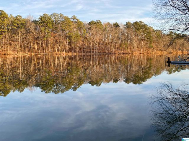 1111 LAKE PARK DRIVE, Mccalla, AL 35111