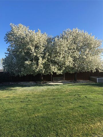 805 Waxberry Court, Loveland, CO 80538