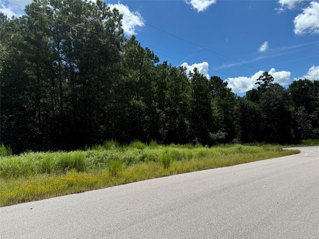 21-29-11 Diamond Lane, Huntsville, TX 77340