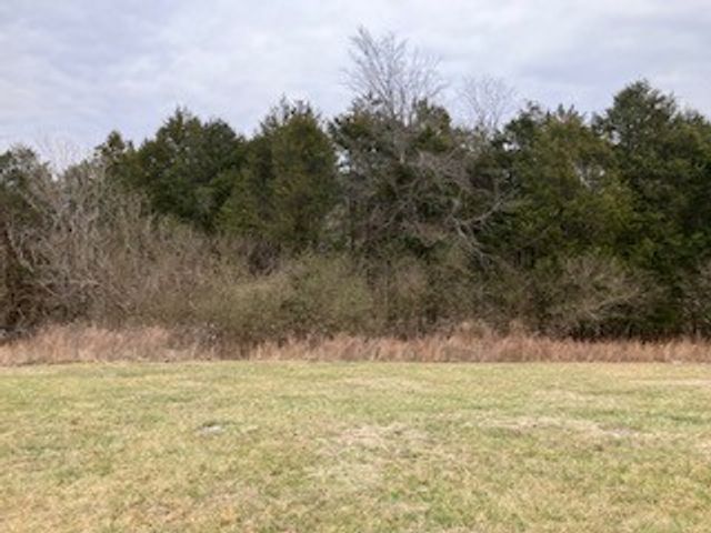 260 Enigma Rd, Chestnut Mound, TN 38552