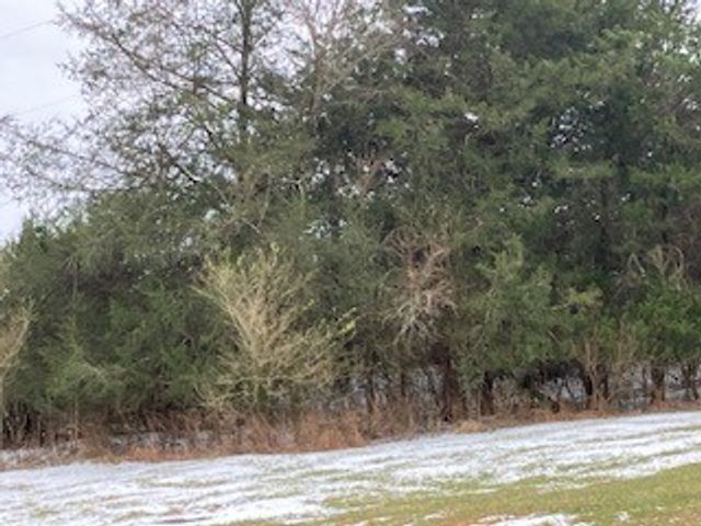 260 Enigma Rd, Chestnut Mound, TN 38552