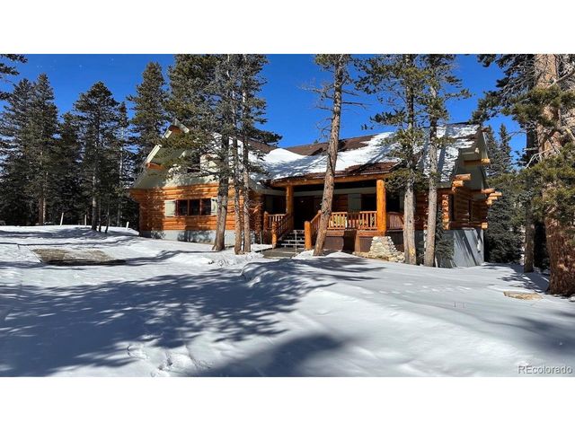 365 Gold Pan Ln, Fairplay, CO 80440