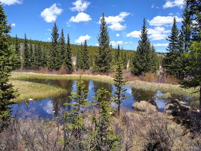 365 Gold Pan Ln, Fairplay, CO 80440