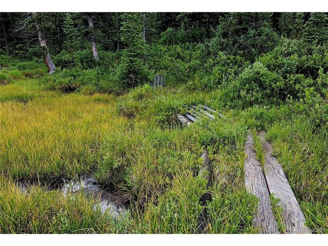 365 Gold Pan Ln, Fairplay, CO 80440