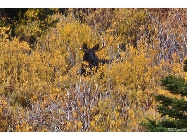 365 Gold Pan Ln, Fairplay, CO 80440