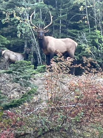 3807 E Avery LN, Coeur D'alene, ID 83814