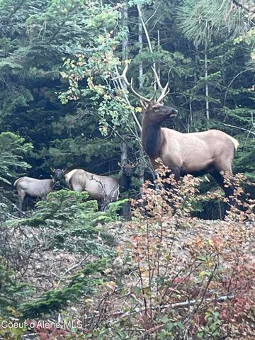 3807 E Avery LN, Coeur D'alene, ID 83814