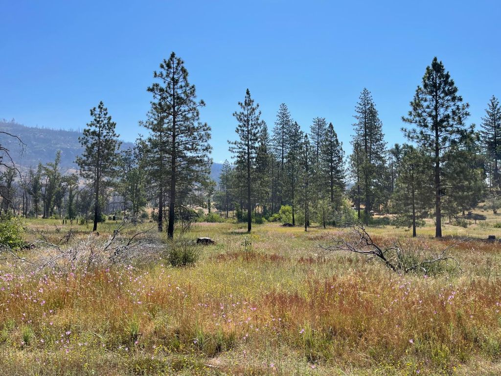 Image 2 of property listing at 34344 Shaver Springs Road, Auberry, CA 93602