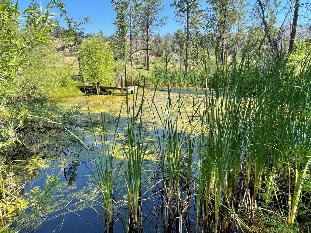 Image 3 of property listing at 34344 Shaver Springs Road, Auberry, CA 93602