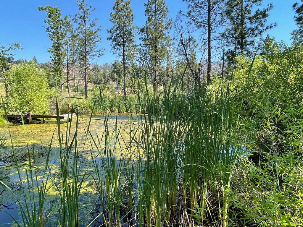 Image 4 of property listing at 34344 Shaver Springs Road, Auberry, CA 93602