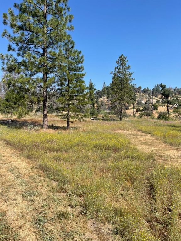 Image 5 of property listing at 34344 Shaver Springs Road, Auberry, CA 93602