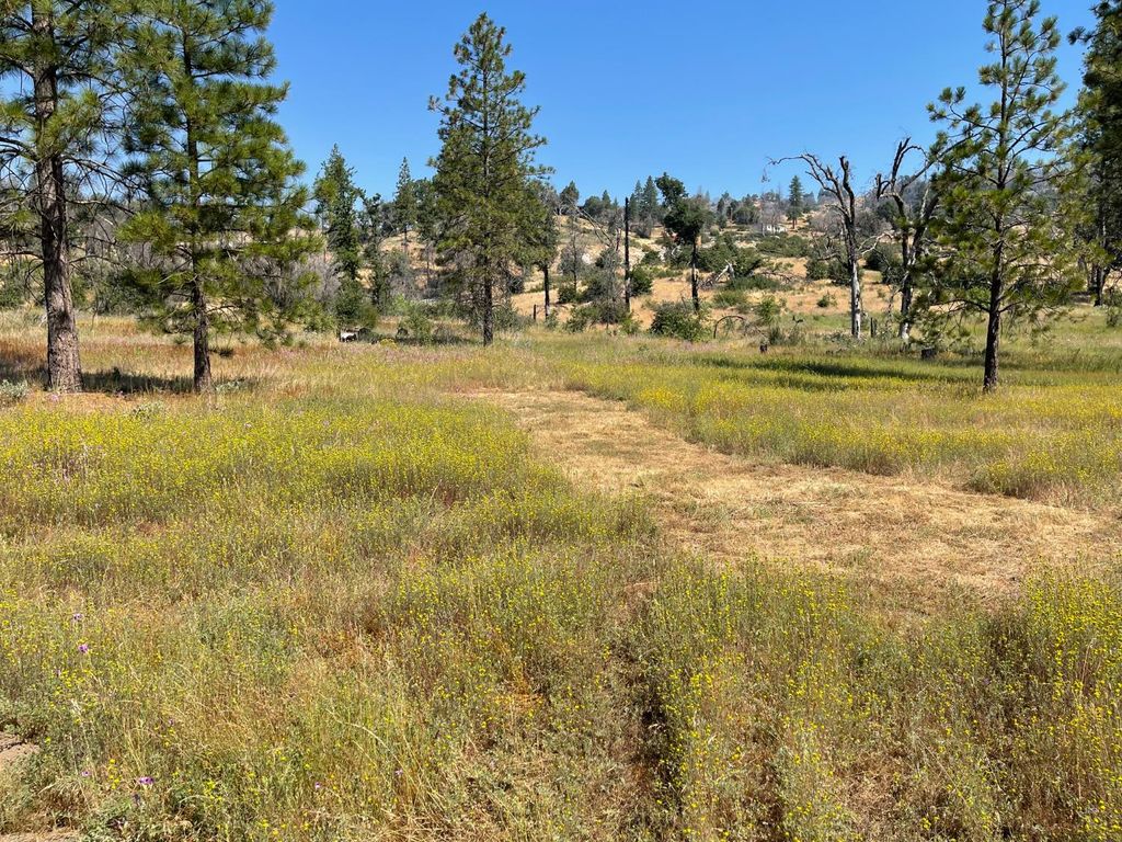 Image 6 of property listing at 34344 Shaver Springs Road, Auberry, CA 93602