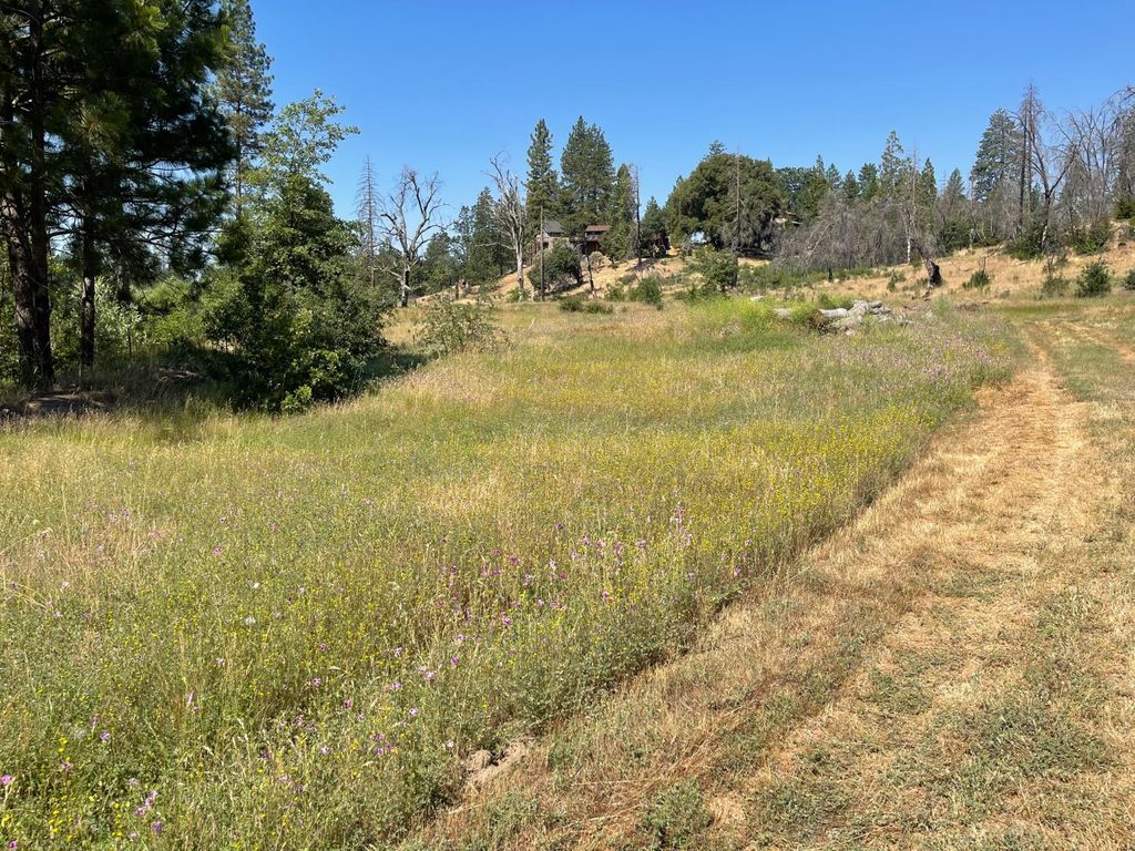 Image 7 of property listing at 34344 Shaver Springs Road, Auberry, CA 93602