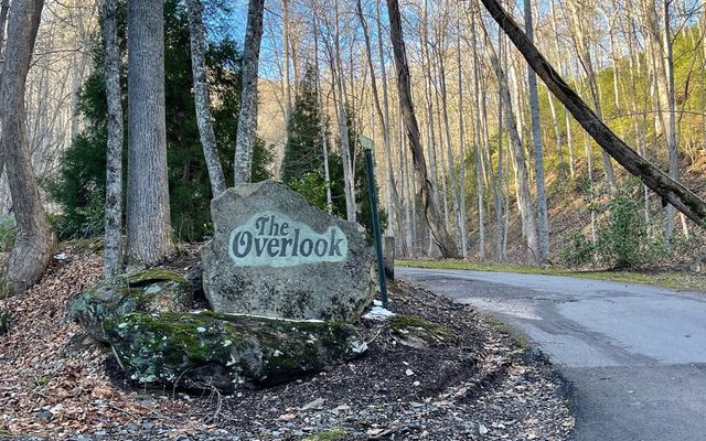 Lot 18 Overlook Loop, Young Harris, GA 30582