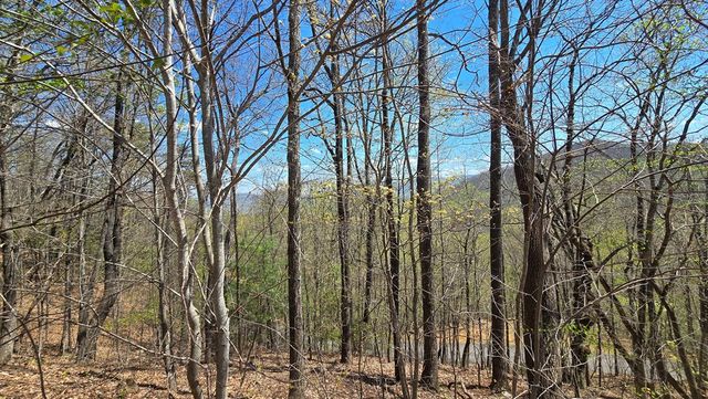 Lot 18 Overlook Loop, Young Harris, GA 30582