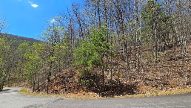 Lot 18 Overlook Loop, Young Harris, GA 30582