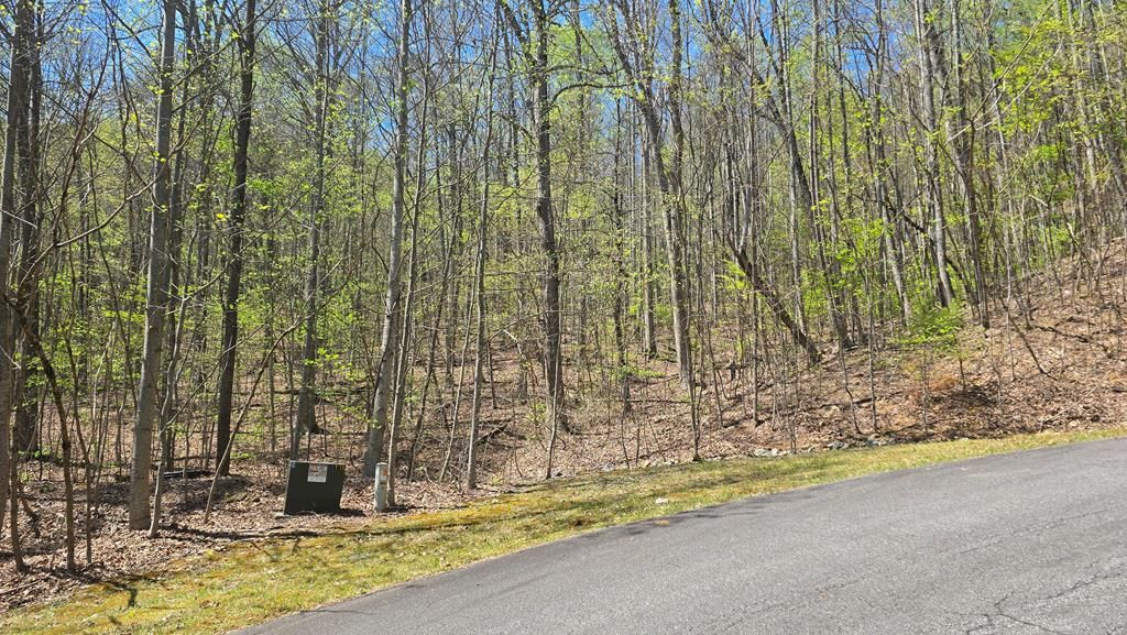 Lot 18 Overlook Loop, Young Harris, GA 30582