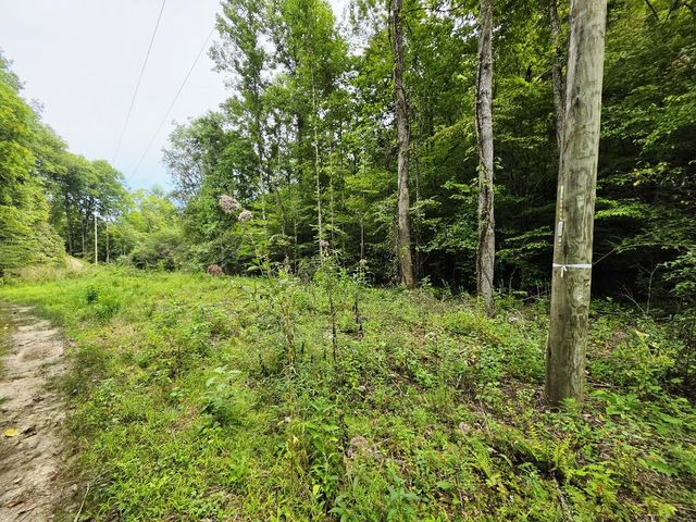 L32 Chestnut Flats Road, Andrews, NC 28901