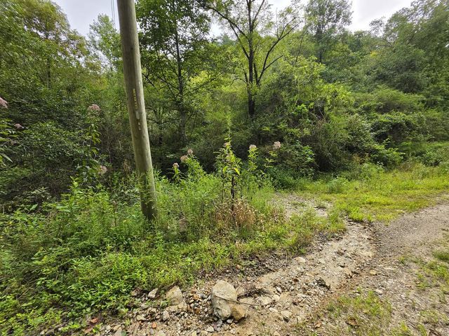 L32 Chestnut Flats Road, Andrews, NC 28901