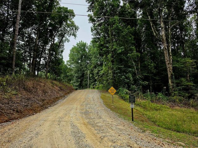 L32 Chestnut Flats Road, Andrews, NC 28901