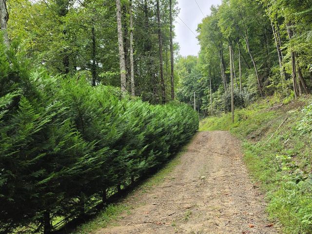 L32 Chestnut Flats Road, Andrews, NC 28901