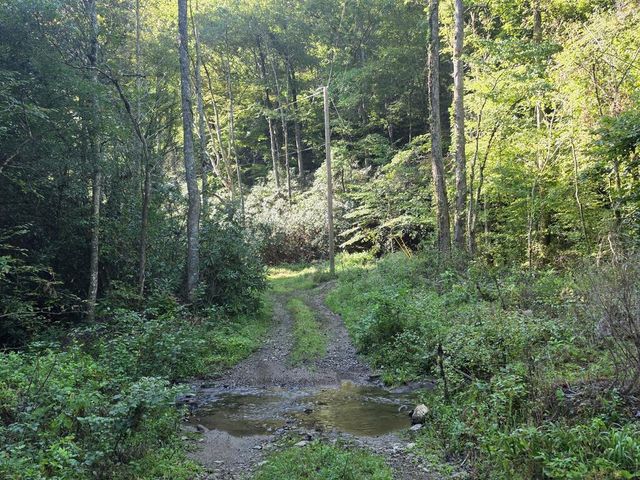 L32 Chestnut Flats Road, Andrews, NC 28901