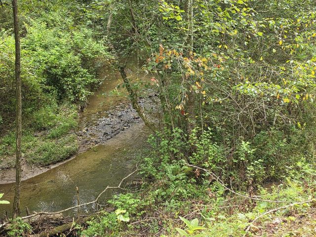 L32 Chestnut Flats Road, Andrews, NC 28901