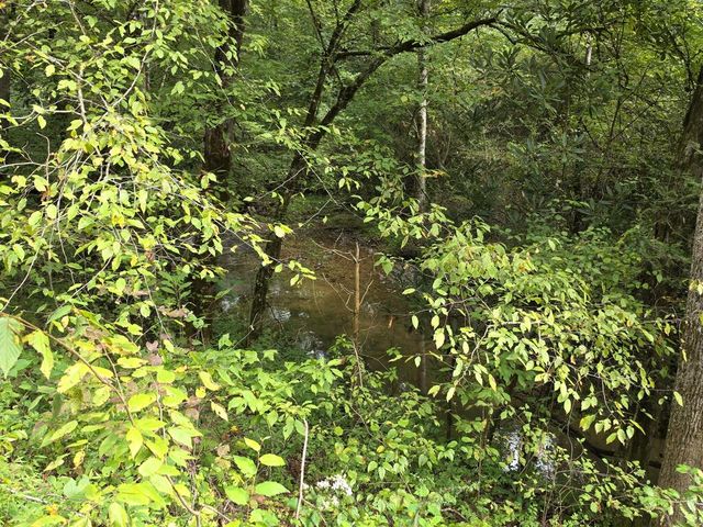 L32 Chestnut Flats Road, Andrews, NC 28901