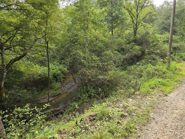 L32 Chestnut Flats Road, Andrews, NC 28901