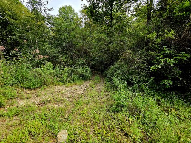 L32 Chestnut Flats Road, Andrews, NC 28901