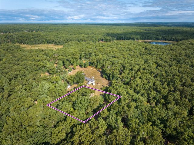 8287 W Hollyhock Avenue, Baldwin, MI 49304