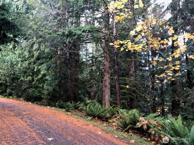 15 Wintercress Way, Bellingham, WA 98229