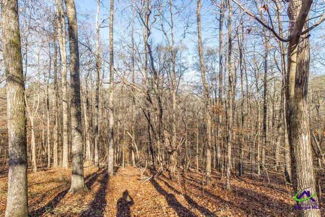 281 Back in the Woods Way, Milledgeville, GA 31060